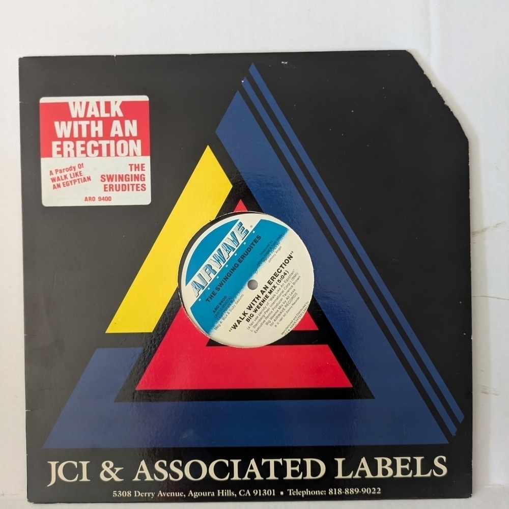 Vinyl Record Walk With An ....